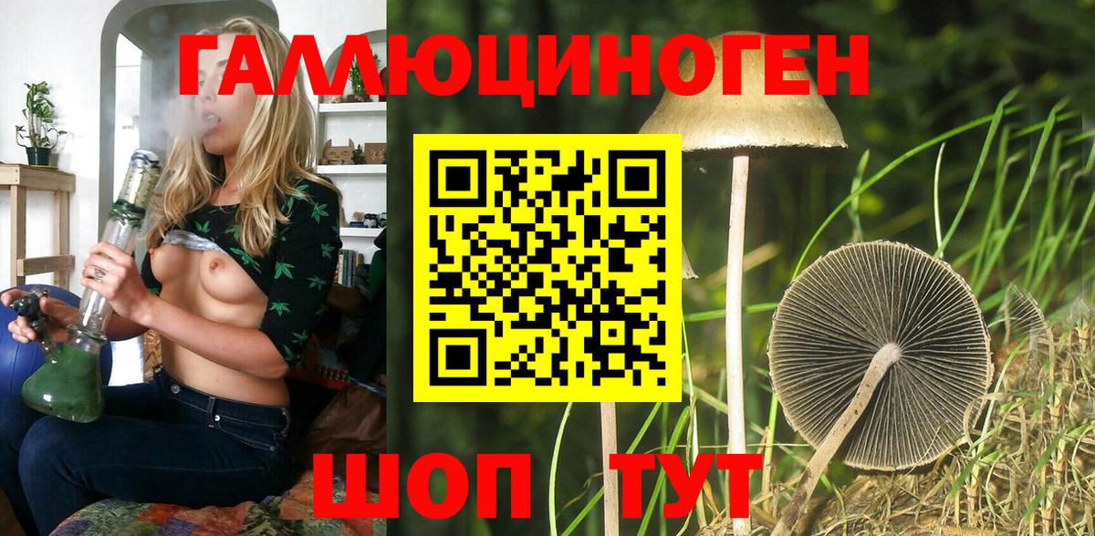 Галлюциногенные грибы Psilocybe Лысьва